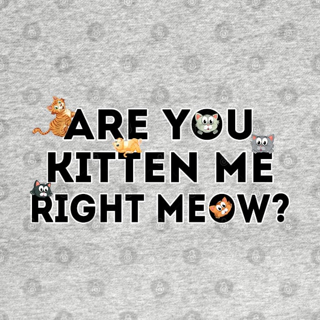 Are You Kitten Me Right Meow by ZenCloak